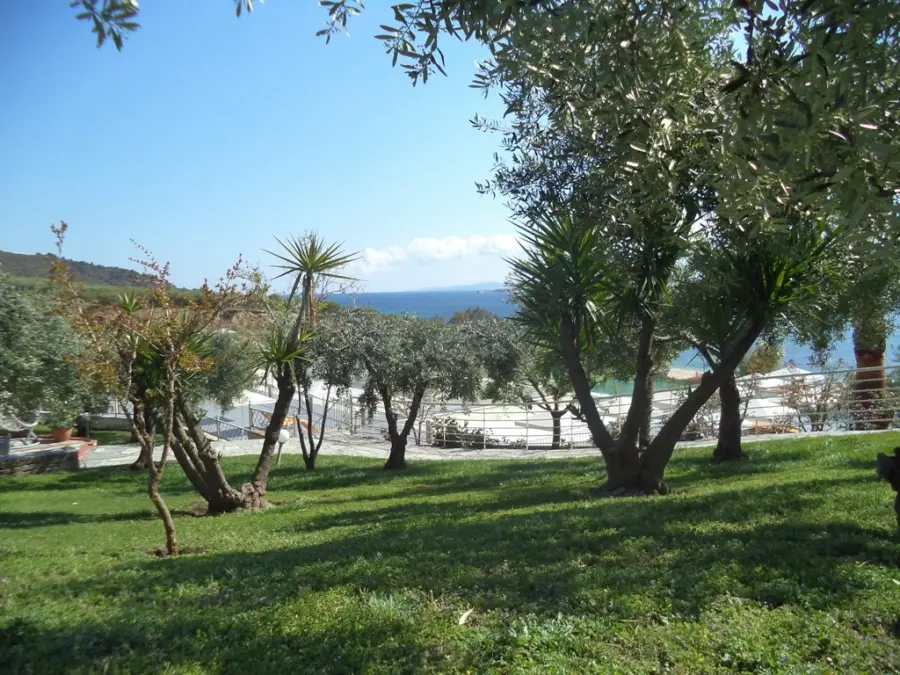 ����� AKRATHOS BEACH, ������, ��������� - ALL Inclusive