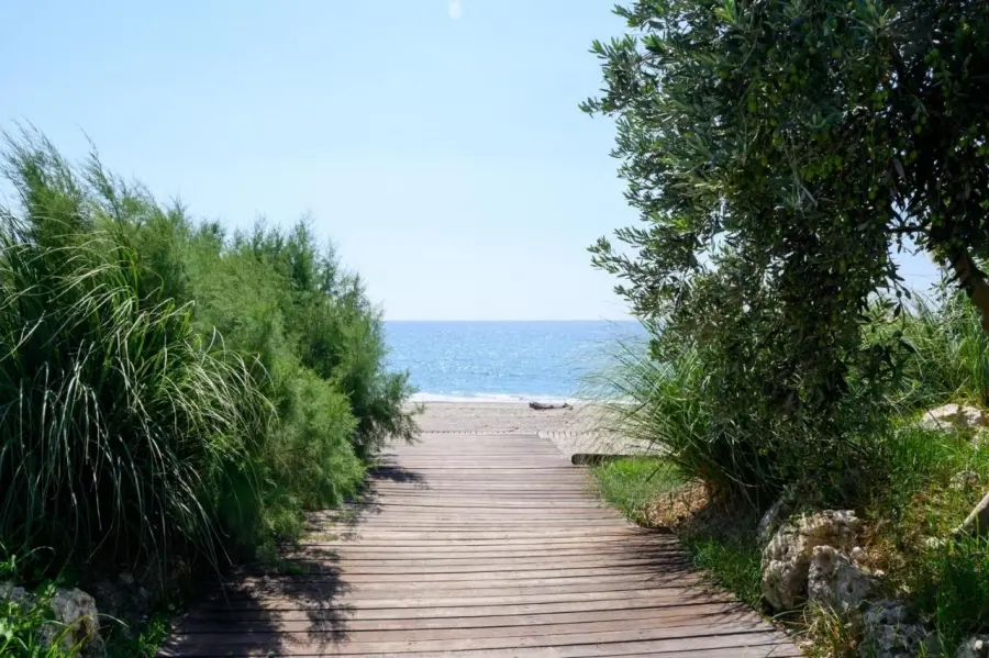 POSEIDON BEACH Hotel - ������ - �������