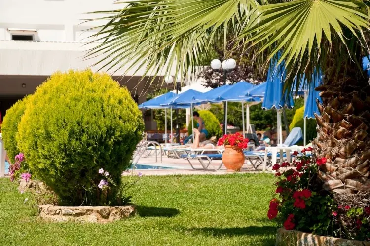 ����� Sun Beach Platamon, ������, ���������� �������
