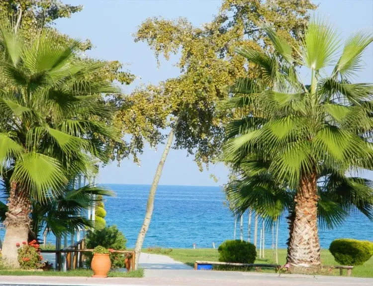 ����� Sun Beach Platamon, ������, ���������� �������