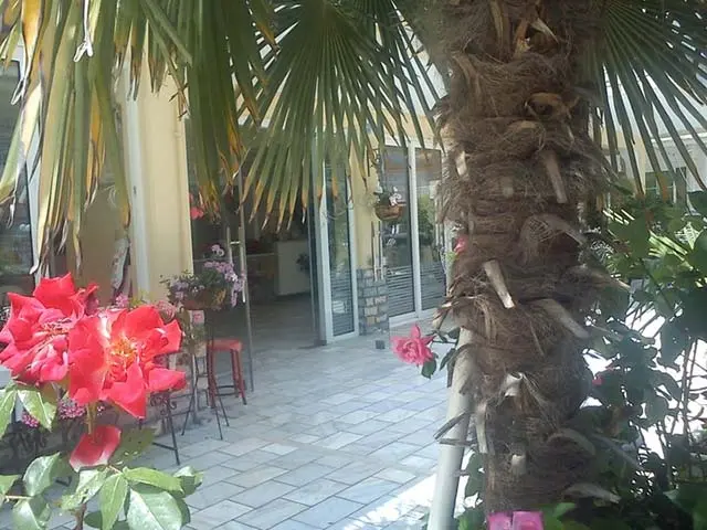 Ouzas Luxury Hotel - ������ - ������� ����