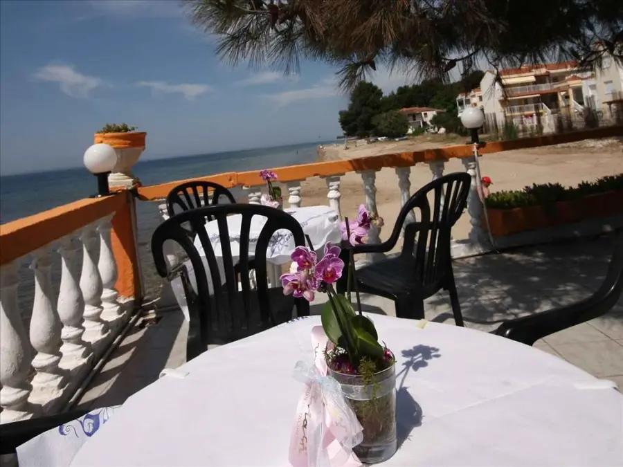  PORTO MATINA Hotel, ������, ���������, �������