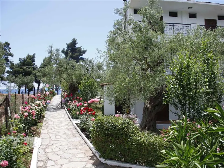  PORTO MATINA Hotel, ������, ���������, �������
