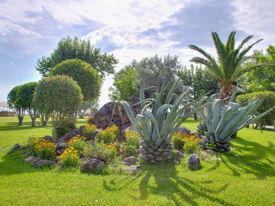 ����� Olympian Bay, ������, All Inclusive