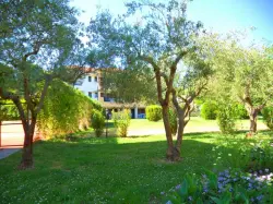  ����� CHROUSSO VILLAGE, ������, ��������� - All Inclusive