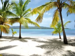������� � ����������, ������� �� �����, 7 ������� All Inclusive, �� �.10.2026 �� �.03.2027